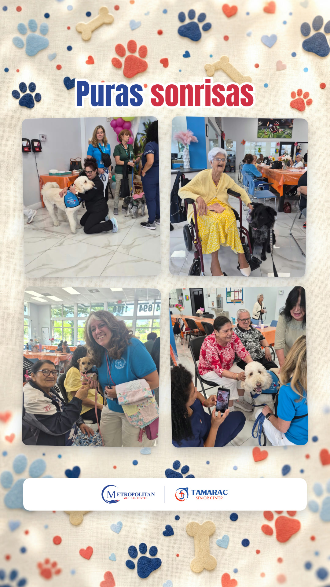 Adultos mayores acariciando a los perritos de terapia en Tamarac Senior Center